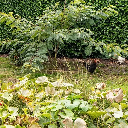 Dom wakacyjny Et Nature Avec Piscine Sanguinet